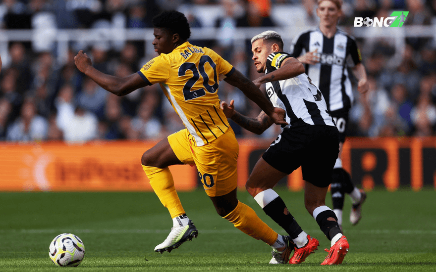 Newcastle bước vào trận đấu này mà không có sự phục vụ của một số trụ cột quan trọng