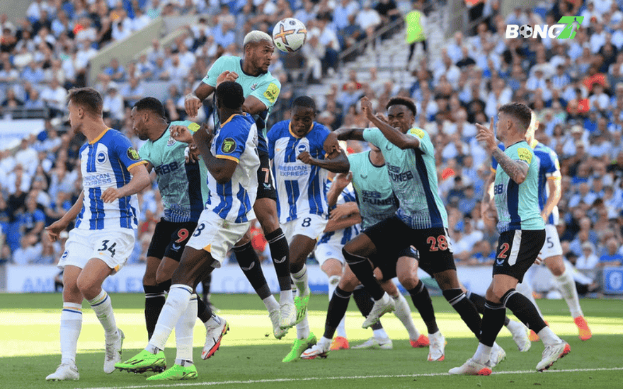 Newcastle đang gặp nhiều vấn đề về phong độ và lực lượng, trong khi Brighton lại đang chơi cực kỳ ổn định