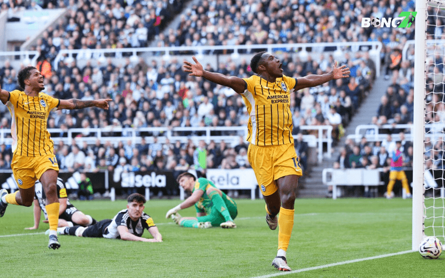 Trái ngược với Newcastle, Brighton đang có phong độ cực kỳ thuyết phục
