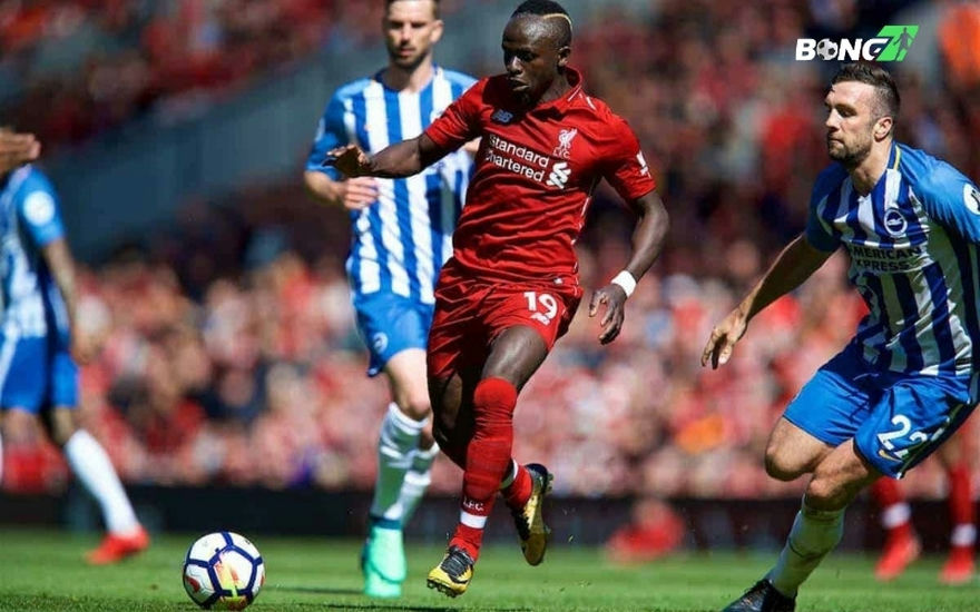 Brighton vs Liverpool là cuộc chiến của tốc độ kết hợp pressing